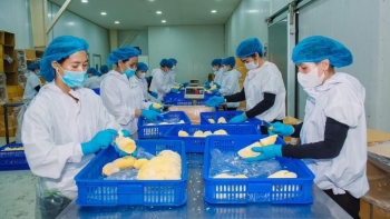 Rau quả Việt loay hoay trong bài toán đầu ra