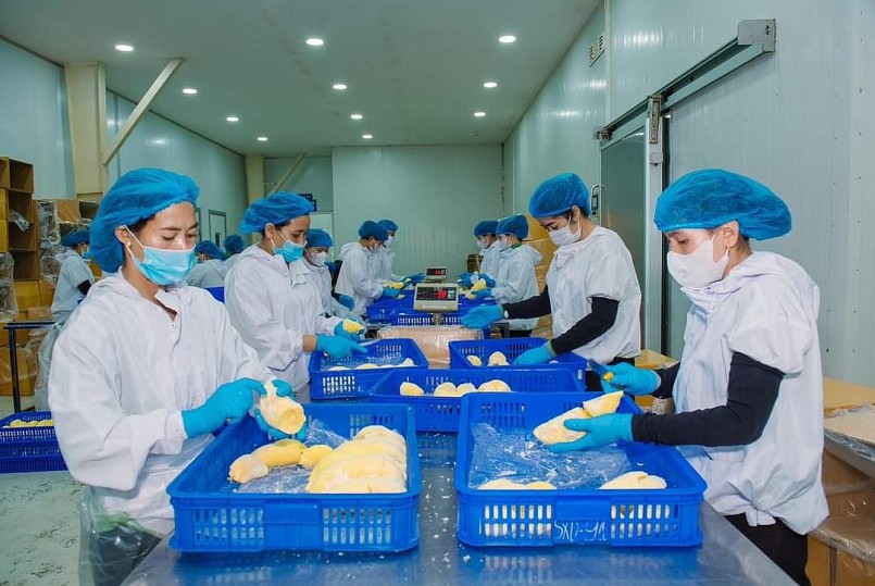 Rau quả Việt loay hoay trong bài toán đầu ra