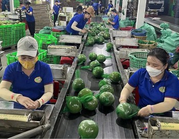 Đưa hàng Việt lên sàn Hoa Kỳ: Cơ hội lớn, cần bước đi đúng hướng