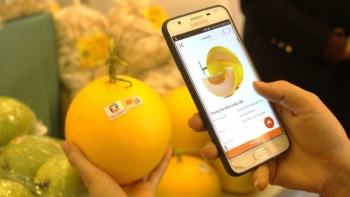 Nông sản Việt: Giải cứu hay đổi mới để lớn mạnh?