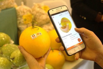 Nông sản Việt: Giải cứu hay đổi mới để lớn mạnh?