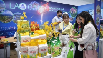 Từ chiến lược đến thị trường: Gạo Việt vươn tầm toàn cầu