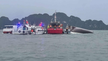 Những lưu ý để an toàn khi đi tàu du lịch