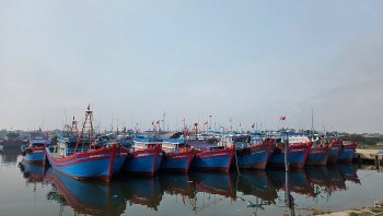 Ứng phó bão số 3: Tàu thuyền cấp tốc vào nơi trú ẩn an toàn