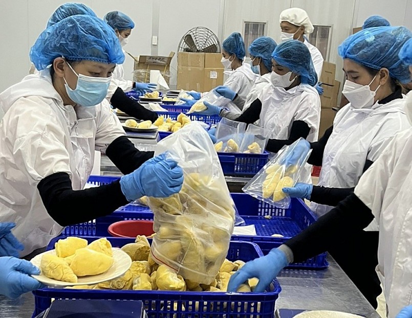 Sầu riêng được đóng gói tại xưởng chế biến trước khi xuất khẩu, góp phần giúp Việt Nam dẫn đầu kim ngạch rau quả trong 7 tháng đầu năm 2025. Sầu riêng được đóng gói tại xưởng chế biến trước khi xuất khẩu, góp phần giúp Việt Nam dẫn đầu kim ngạch rau quả trong 7 tháng đầu năm 2025.