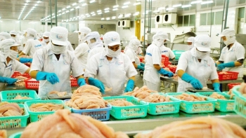 Tái định vị thị trường xuất khẩu: Chìa khóa sinh tồn cho ngành thủy sản