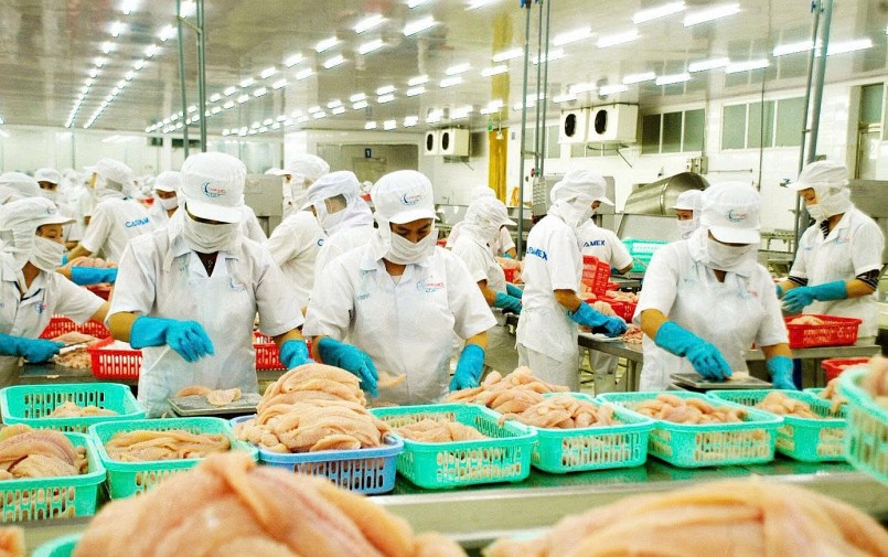 Đầu tư vào chế biến sâu, tạo ra các sản phẩm giá trị gia tăng như phi lê cá tra là chìa khóa để doanh nghiệp thủy sản chinh phục các thị trường mới như châu Á và khối CPTPP. Đầu tư vào chế biến sâu, tạo ra các sản phẩm giá trị gia tăng như phi lê cá tra là chìa khóa để doanh nghiệp thủy sản chinh phục các thị trường mới như châu Á và khối CPTPP.
