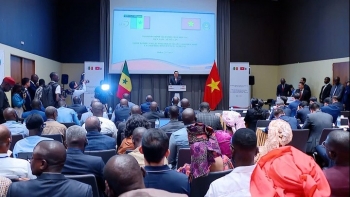 Việt Nam – Senegal thúc đẩy hợp tác thương mại chiến lược, lấy gạo làm điểm tựa