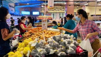 Nông sản Việt vươn xa: Cuộc chiến giảm giá thành từ gốc rễ