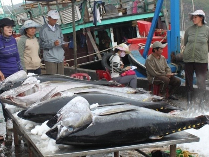 Thủ tướng chỉ đạo tháo gỡ khó khăn cho ngành cà phê và cá ngừ