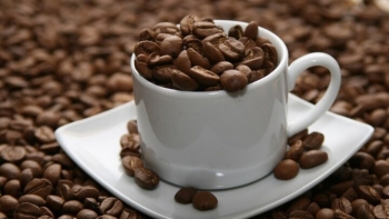 Giá cà phê tăng phi mã chạm mốc 96.200 đồng/kg, điều gì đang xảy ra?