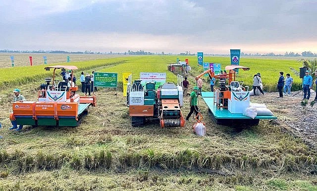Gạo phát thải thấp mở đường cho nông nghiệp xanh Việt Nam vươn ra thế giới