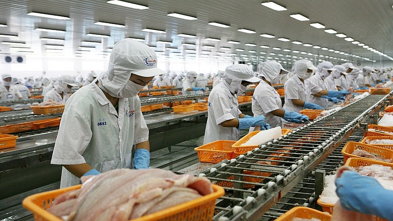 Thủy sản Việt vươn tầm: Khẳng định vị thế tại Singapore Thủy sản Việt vươn tầm: Khẳng định vị thế tại Singapore