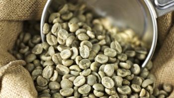 Ngành gạo, cà phê kiến nghị điều chỉnh chính sách thuế