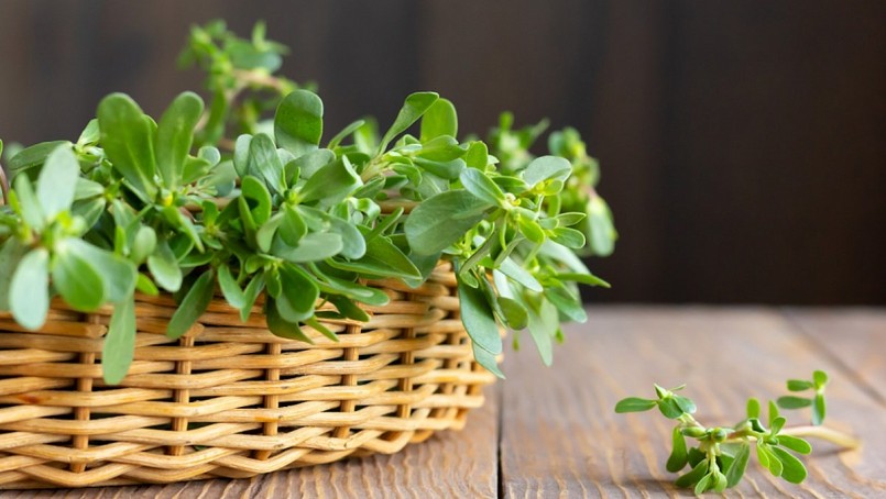 Theo Đông y, rau sam vị chua, tính lạnh, vào đại tràng, can và thận.