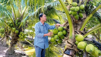 Gia nhập “câu lạc bộ tỉ đô”: Cuộc đua mới của trái cây Việt