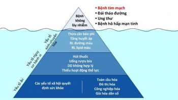 Cảnh báo “cơn sóng ngầm” bệnh không lây nhiễm đang âm thầm đang bủa vây người Việt