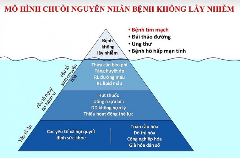 Chuỗi nguyên nhân bệnh không lây nhiễm.