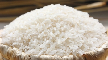 Kiến nghị khẩn cấp gỡ rào cản thuế VAT 5% cho nông sản xuất khẩu