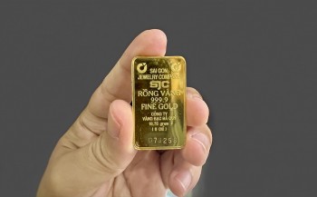 Giá vàng tuần mới: "Đu đỉnh" và cú lỗ kép 5 triệu đồng, chuyên gia và nhà đầu tư mỗi người một hướng