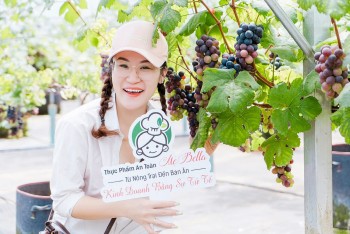 Du lịch canh nông ở Lâm Đồng: Khác biệt từ trải nghiệm nông nghiệp xanh