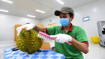 Trung Quốc đánh giá cao chất lượng sầu riêng Việt Nam, củng cố kỳ vọng xuất khẩu