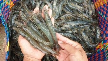 VASEP kiến nghị "gỡ khó" cho ngành thủy sản về thuế VAT