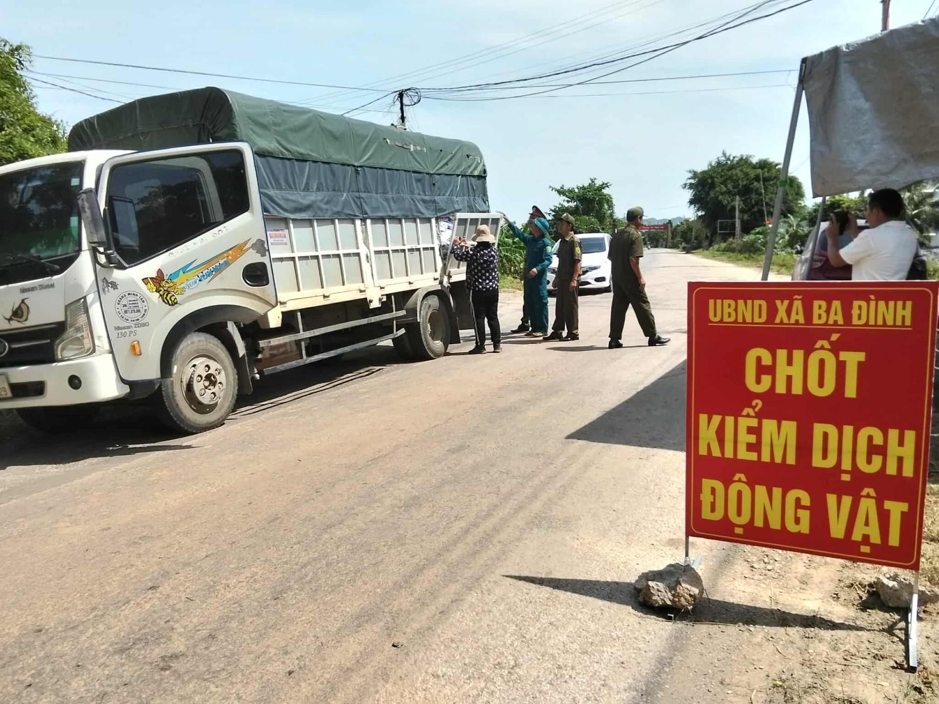 Cấp bách, đồng bộ, toàn diện: Thanh Hóa triển khai chiến dịch phòng, chống bệnh dịch tả lợn Châu Phi