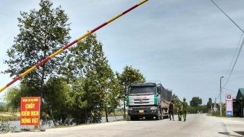 Thanh Hóa: Vai trò nòng cốt của công an xã Ba Đình trong cuộc chiến chống dịch gia súc, gia cầm