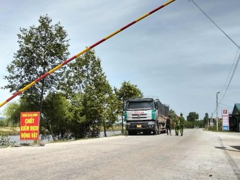 Thanh Hóa: Vai trò nòng cốt của công an xã Ba Đình trong cuộc chiến chống dịch gia súc, gia cầm