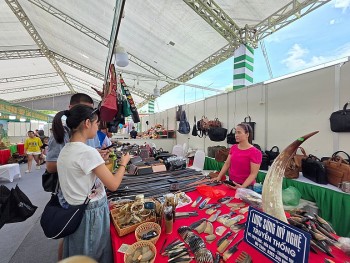 Đưa OCOP từ làng quê đến thị trường thế giới