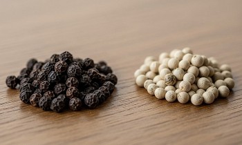 Giá tiêu hôm nay 4/8: Thị trường trong nước tăng nhẹ, kỳ vọng bứt phá vào cuối năm