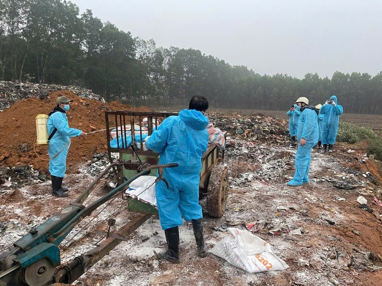 Cấp bách, đồng bộ, toàn diện: Thanh Hóa triển khai chiến dịch phòng, chống bệnh dịch tả lợn Châu Phi