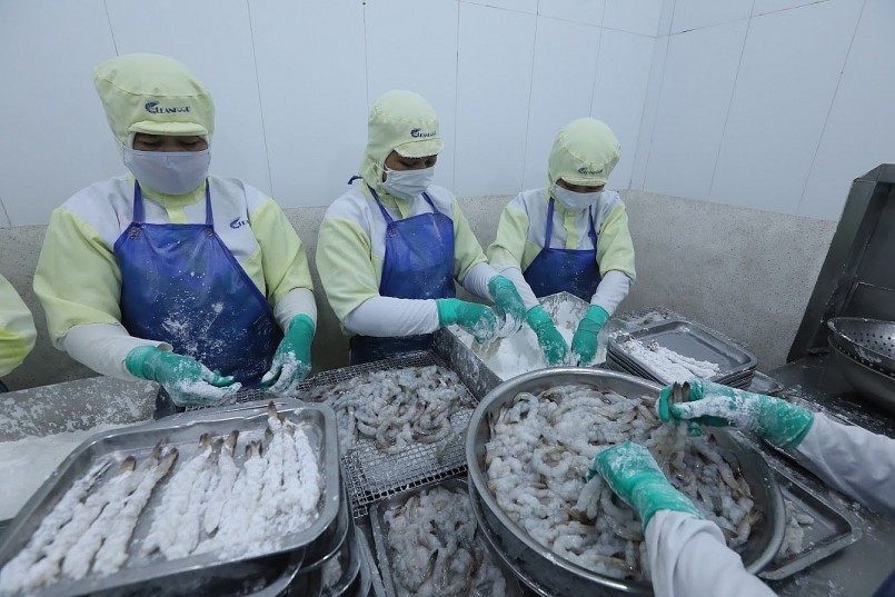 Công nhân chế biến tôm xuất khẩu tại nhà máy thủy sản; nhiều mặt hàng đạt giá trị cao nhưng vẫn đối mặt rủi ro từ giá nguyên liệu, biến động thị trường và tiêu chuẩn kỹ thuật quốc tế.