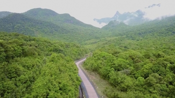 Tỉnh Quảng Trị: Nỗ lực thúc đẩy giải ngân nguồn thu từ tín chỉ carbon rừng