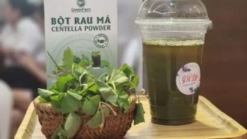 QueenFarm – Hành trình kiến tạo thương hiệu nông nghiệp sạch xứ Thanh