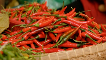 Tại sao vị cay lại khiến ta mê mẩn như vậy?