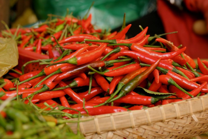 Capsaicin – hợp chất tạo vị cay – không phải gia vị, mà là một chất kích thích cảm giác đau của cơ thể.