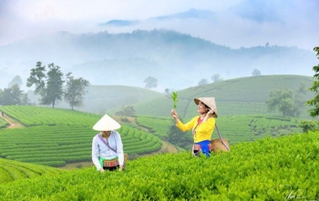 Sản phẩm thiên nhiên lên ngôi giữa làn sóng tiêu dùng xanh tại Việt Nam