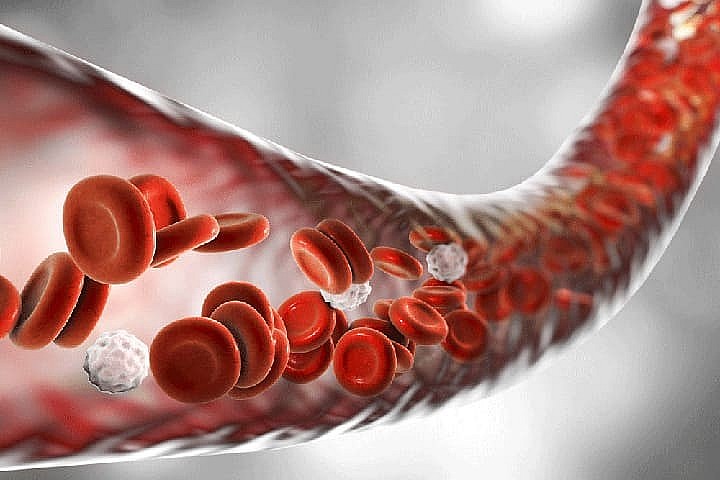 Vận động không chỉ làm tăng nhịp tim để bơm máu đi mạnh mẽ hơn mà còn thúc đẩy sự dẻo dai của mạch máu. 