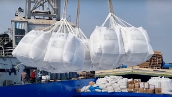 Xuất khẩu gạo tăng 3,1% về lượng nhưng "bốc hơi" gần 16% giá trị: Nguyên nhân do đâu?