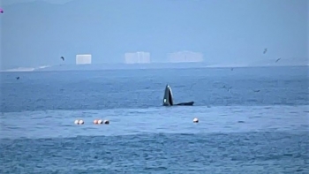 Xây dựng thương hiệu điểm đến Nha Trang gắn với du lịch sinh thái bền vững