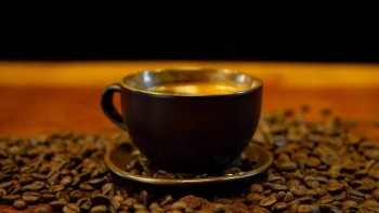 Giá cà phê hôm nay 9/8: Tăng mạnh, lập đỉnh mới trong nước – Quốc tế bứt phá ấn tượng