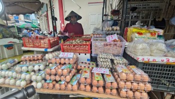 Giá trứng gà tăng mạnh tạo cơ hội cho người chăn nuôi