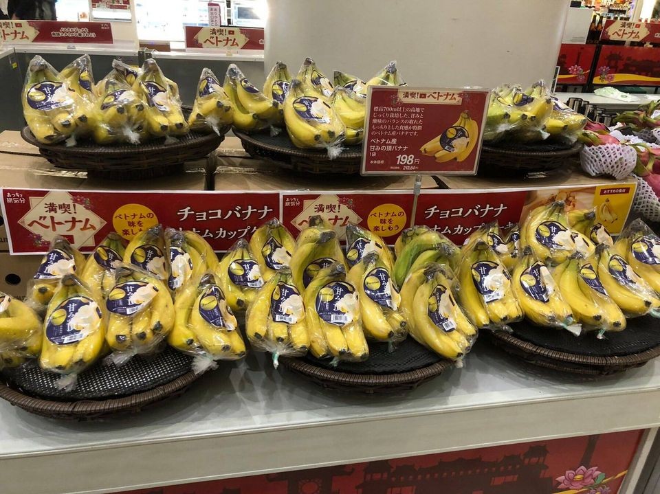 Chuối Việt Nam đang mở rộng thị phần tại Nhật Bản Chuối Việt Nam đang mở rộng thị phần tại Nhật Bản
