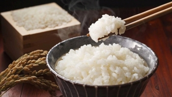 Vì sao hâm nóng thức ăn thừa lại tiềm ẩn rủi ro?