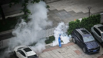 Dịch Chikungunya bùng phát ở Trung Quốc, Bộ Y tế chủ động đề phòng