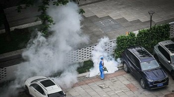 Dịch Chikungunya bùng phát ở Trung Quốc, Bộ Y tế chủ động đề phòng