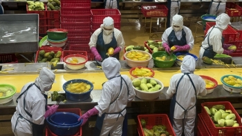 Từ thuế Hoa Kỳ đến cơ hội bứt phá nông lâm thủy sản Việt