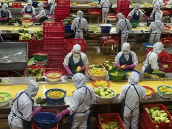 Từ thuế Hoa Kỳ đến cơ hội bứt phá nông lâm thủy sản Việt